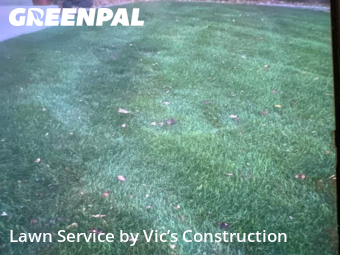 Lawn Maintenance nearby Joliet, IL, 