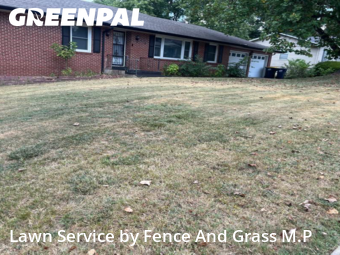 Yard Maintenance in Harrison, 72601, Yard Care Services by Fence And Grass M.P, work completed in Nov , 2025
