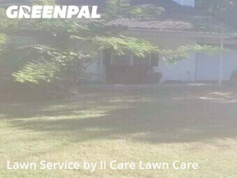 Grass Cut nearby Longview, TX, 