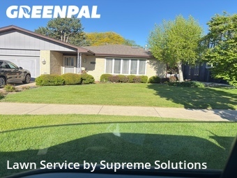Yard Cuttingin Arlington Heights,60005,Yard Cutting by Supreme Solutions , work completed in Jun , 2026