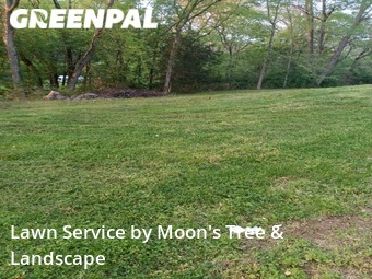 Lawn Maintenance nearby Whites Creek, TN, 