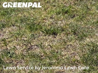 Yard Cutting nearby Crowley, TX, 