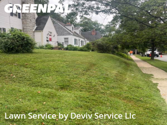 Turf Services in University Park, 20782, Grass Cutting by Deviv Service Llc, work completed in Oct , 2025