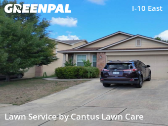Grass Cutting nearby San Antonio, TX, 