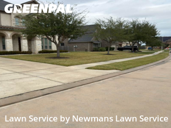 Lawn Servicein League City,77573,Grass Cutting by Newmans Lawn Service, work completed in Dec , 2025