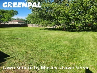 Yard Mowing nearby Clarksville, TN, 