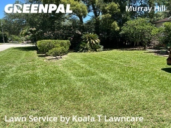 Grass Cutting nearby Jacksonville, FL, 
