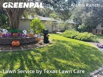 Lawn Cuttingin San Antonio,78232,Lawn Care Service by Texas Lawn Care, work completed in Oct , 2025