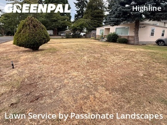 Lawn mowed in Burien, 98146