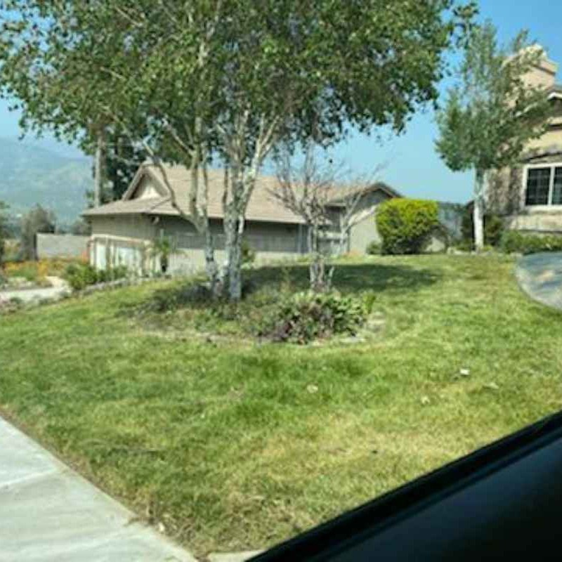 Lawn mowing work by Mollie Cutz Llc in Hesperia, CA
