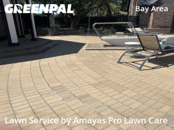 Yard Mowing nearby Corpus Christi, TX, 