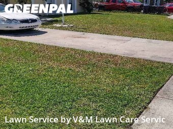 Lawn Cut nearby Orlando, FL, 