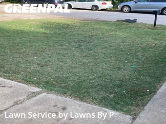 Grass Cut nearby Fort Worth, TX, 