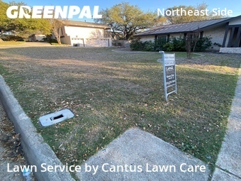 Lawn Mowing Service nearby San Antonio, TX, 