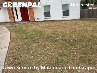 Lawn Care Service nearby Houston, TX, 