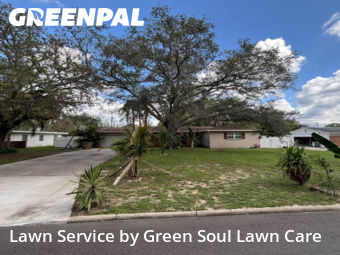 Lawn Mow nearby Temple Terrace, FL, 
