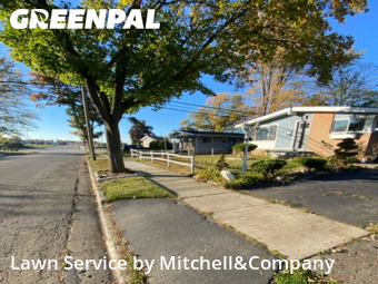 Lawn Management in Pontiac, 48342, Yard Maintenance by Mitchell&Company, work completed in Nov , 2025