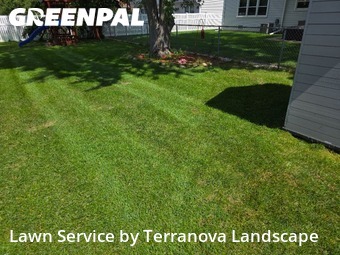 Lawn Upkeep in Schaumburg, 60194, Yard Care Services by Terranova Landscape, work completed in Nov , 2025