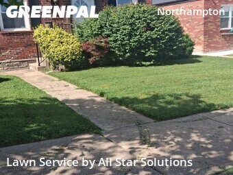 Yard Cutting nearby St. Louis, IL, 