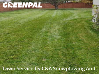 Grass Care in Wheeling, 60090, Grass Services by C&A Snowplowing And , work completed in Nov , 2025