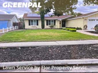 Lawn Mowing nearby San Jose, CA, 