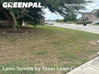 Yard Cutting nearby Converse, TX, 