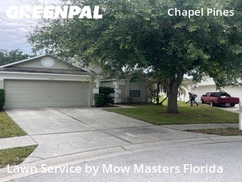 Grass Cut nearby Wesley Chapel, FL, 