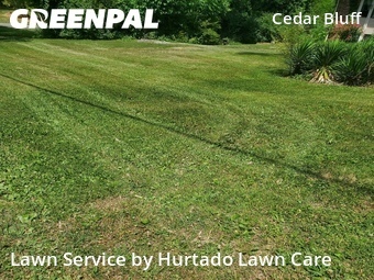 Lawn Maintenance nearby Knoxville, TN, 