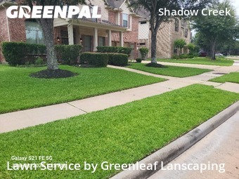 Lawn Maintenance nearby Pearland, TX, 