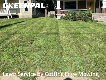 Lawn Care nearby Independence, MO, 