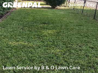 Lawn Cut nearby Atlanta, GA, 