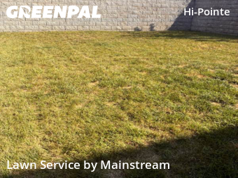 Grass Cut nearby St. Louis, MO, 