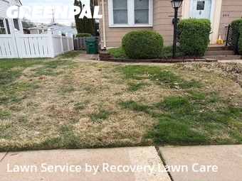 Work completed by cheap-lawn-cutting-businesses-in-Brentwood-CA
