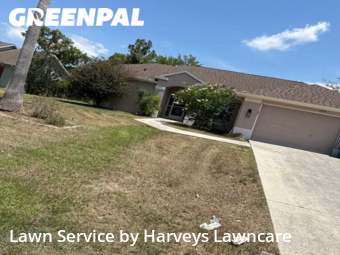 Yard Cutting nearby Spring Hill, FL, 