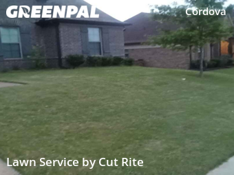 Lawn Mowing nearby Shelby County, AR, 
