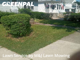 Lawn Cutting nearby Buffalo, NY, 