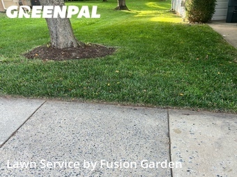 Yard Cutting nearby Germantown, MD, 