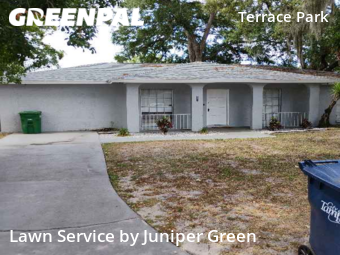 Grass Cut nearby Tampa, FL, 