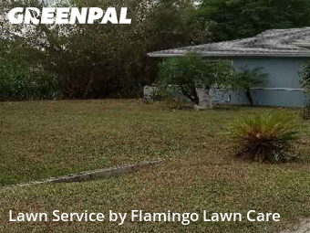 Yard Management in Fort Myers, 33967, Front Yard Mowing by Flamingo Lawn Care, work completed in Nov , 2025