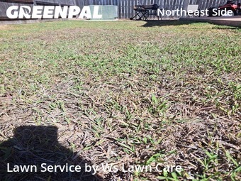 Lawn Mow nearby Converse, TX, 