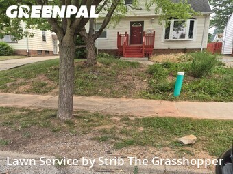 Yard Cutting nearby Garfield Heights, OH, 