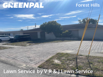 Lawn Cutting nearby Holiday, FL, 