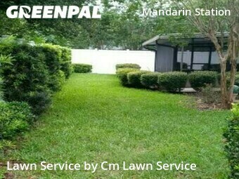 Grass Cut nearby Jacksonville, FL, 