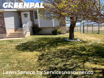 Lawn Mowing Service nearby Hooper, VA, 