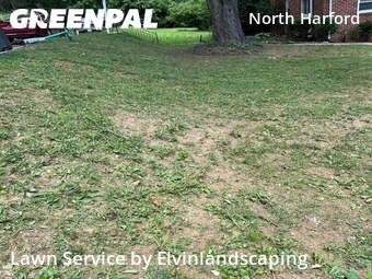 Lawn Mow nearby Baltimore, MD, 