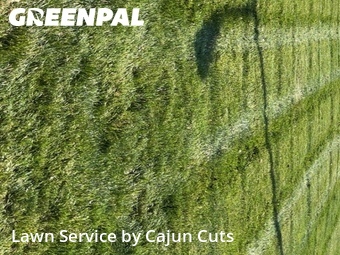 Lawn Cutting nearby Walterhill, TN, 
