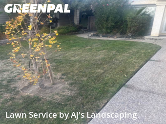 Work completed by local-lawn-cutting-services-in-Tracy-CA