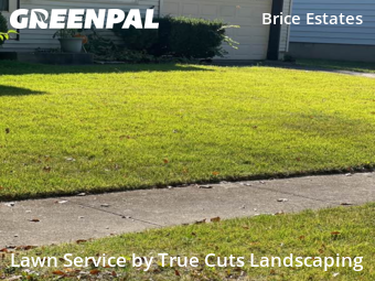 Lawn Cutting nearby Reynoldsburg, OH, 