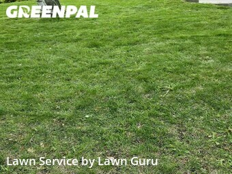 Lawn Maintenance nearby Minneapolis, MN, 