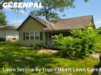 Lawn Care Servicein Leavenworth,66048,Yard Cutting by Lion's Heart Lawn Care, work completed in Dec , 2025